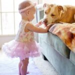 baby girl, dog, pet-7163839.jpg